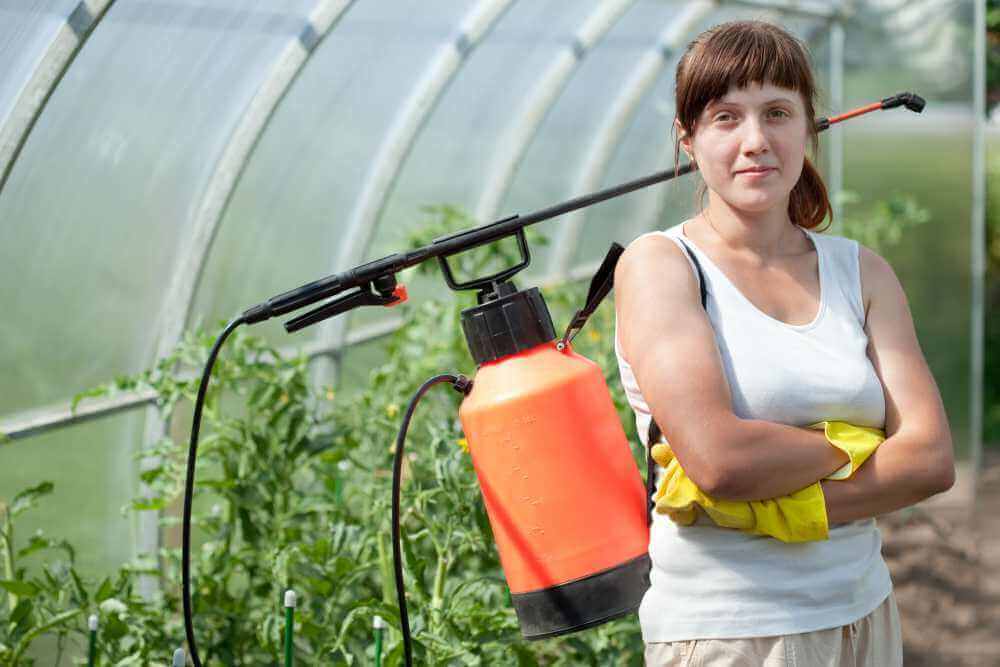 Suas plantas livres de pragas e doenças