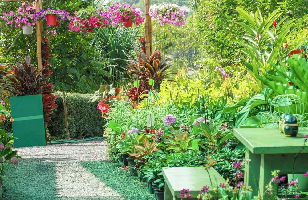 Suas plantas livres de pragas e doenças