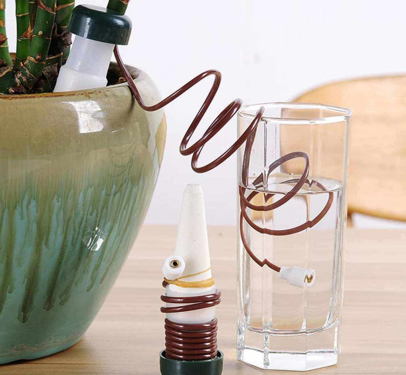 Formas de regar as suas plantas durante as férias