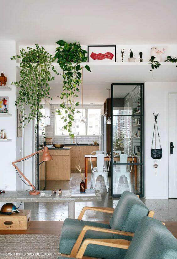 Ideias para decorar com plantas suspensas