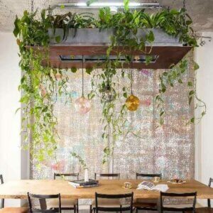 Ideias para decorar com plantas suspensas
