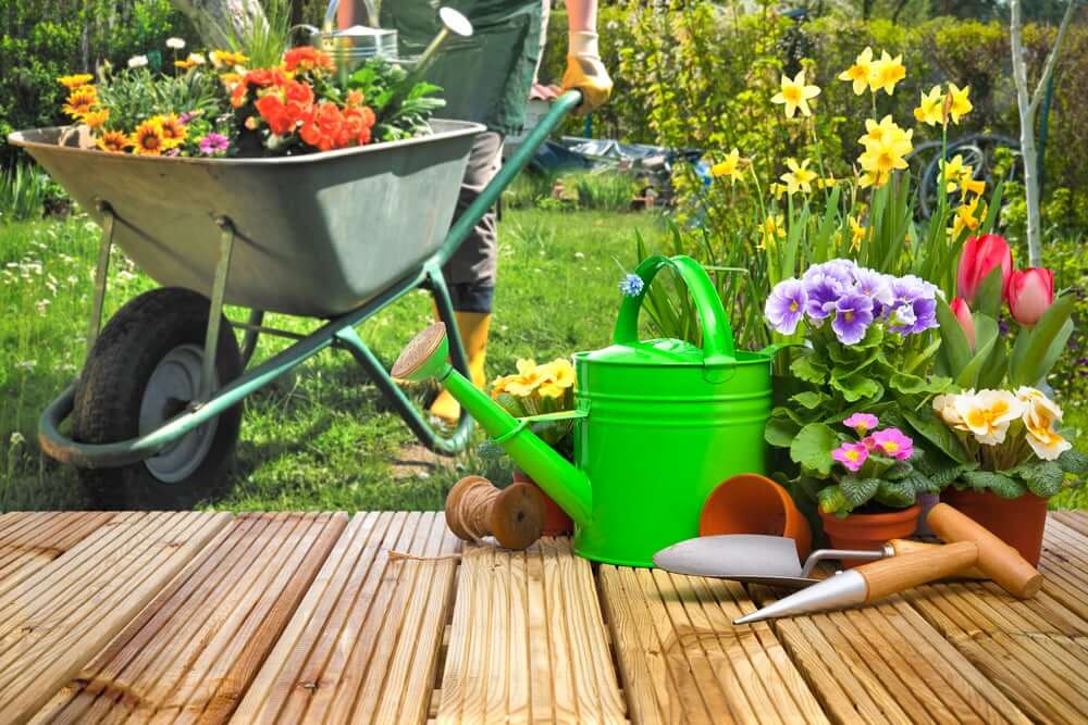 dicas para acondicionar o jardim para o verão