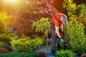 5 dicas para acondicionar o jardim para o verão