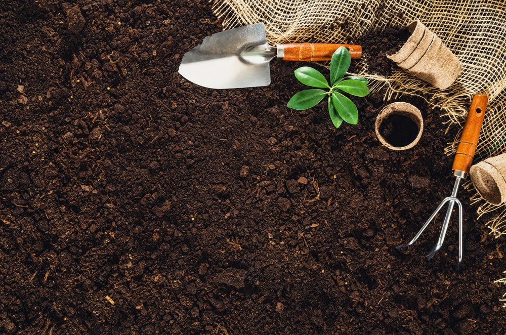 Como fazer uma horta no jardim?