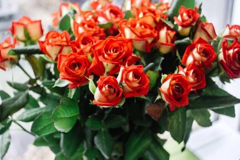 Como decorar a casa com plantas artificiais