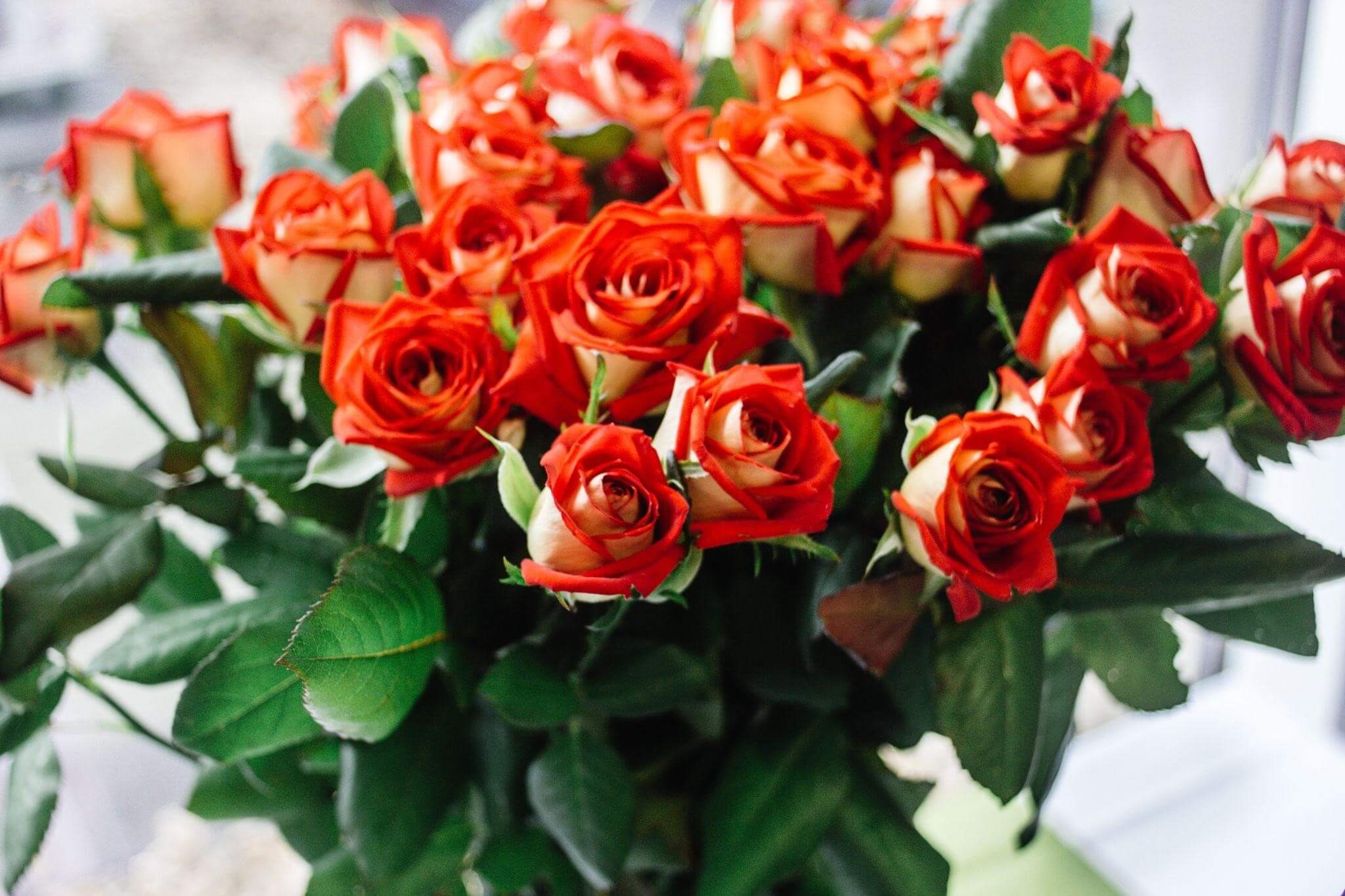 Como decorar a casa com plantas artificiais